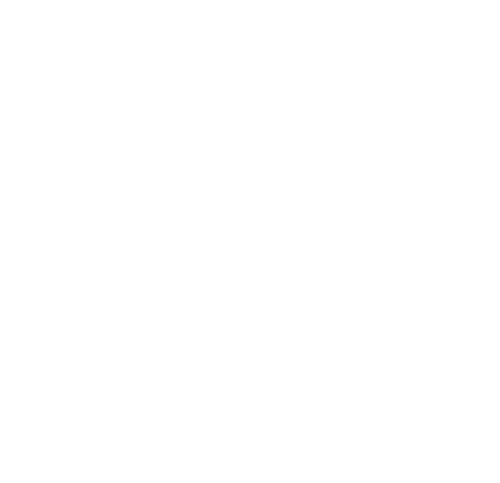 csg logo white